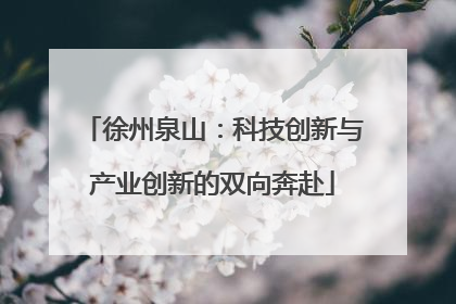 徐州泉山：科技创新与产业创新的双向奔赴
