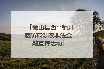 微山县西平镇开展防范涉农非法金融宣传活动