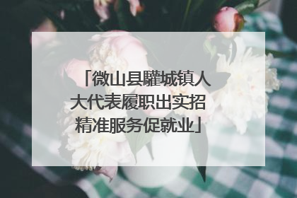 微山县驩城镇人大代表履职出实招精准服务促就业