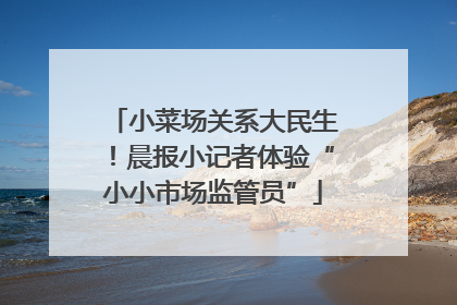 小菜场关系大民生！晨报小记者体验“小小市场监管员”