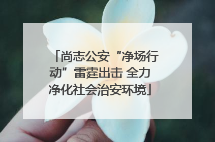 尚志公安“净场行动”雷霆出击 全力净化社会治安环境