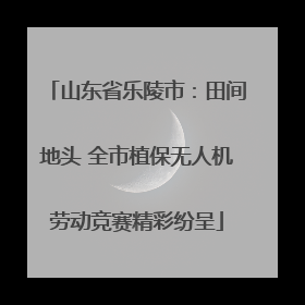 山东省乐陵市：田间地头 全市植保无人机劳动竞赛精彩纷呈