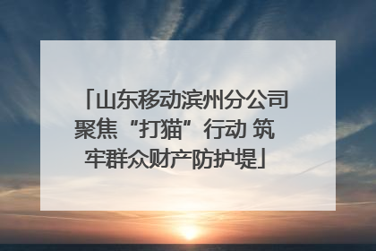 山东移动滨州分公司聚焦“打猫”行动 筑牢群众财产防护堤