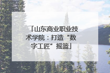 山东商业职业技术学院：打造“数字工匠”摇篮