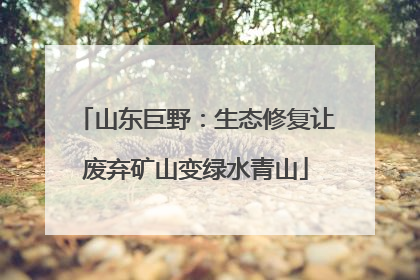 山东巨野：生态修复让废弃矿山变绿水青山