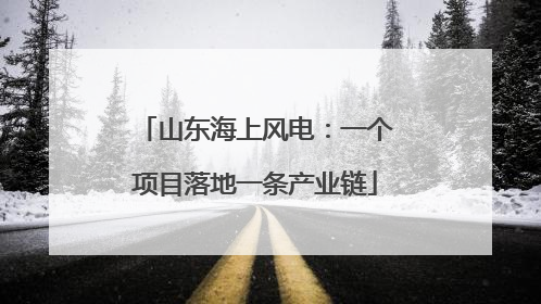 山东海上风电：一个项目落地一条产业链