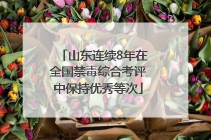 山东连续8年在全国禁毒综合考评中保持优秀等次