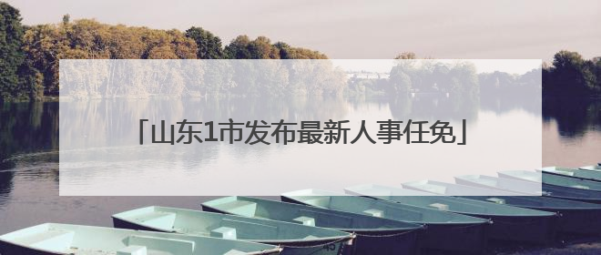 山东1市发布最新人事任免
