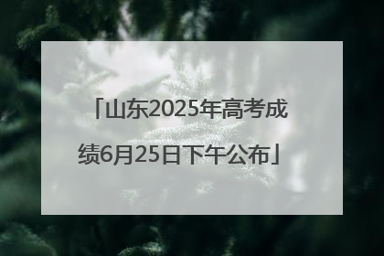 山东2025年高考成绩6月25日下午公布