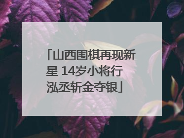 山西围棋再现新星 14岁小将行泓丞斩金夺银