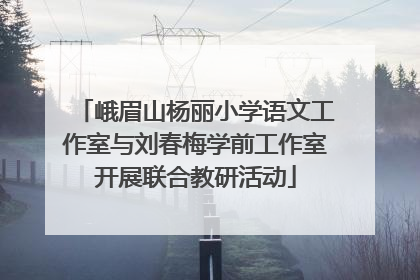 峨眉山杨丽小学语文工作室与刘春梅学前工作室开展联合教研活动