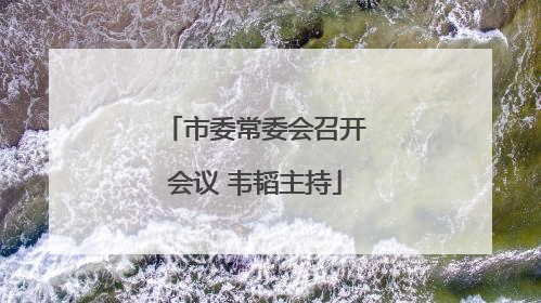 市委常委会召开会议 韦韬主持