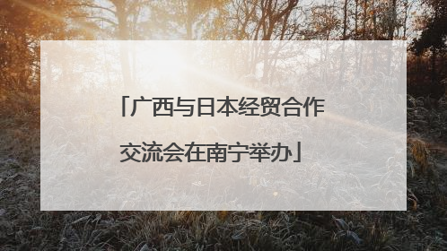 广西与日本经贸合作交流会在南宁举办