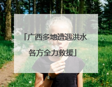 广西多地遭遇洪水 各方全力救援
