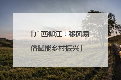 广西柳江：移风易俗赋能乡村振兴