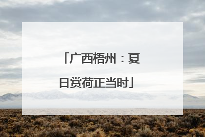 广西梧州：夏日赏荷正当时