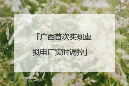 广西首次实现虚拟电厂实时调控