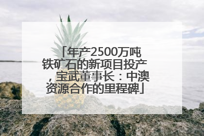 年产2500万吨铁矿石的新项目投产，宝武董事长：中澳资源合作的里程碑