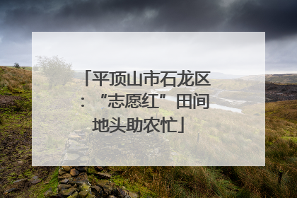 平顶山市石龙区：“志愿红”田间地头助农忙
