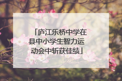 庐江乐桥中学在县中小学生智力运动会中斩获佳绩