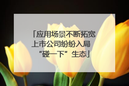 应用场景不断拓宽 上市公司纷纷入局“碰一下”生态