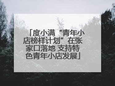 度小满“青年小店榜样计划”在张家口落地 支持特色青年小店发展