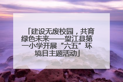 建设无废校园，共育绿色未来——望江县第一小学开展“六五”环境日主题活动
