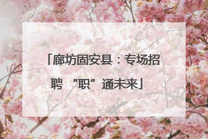 廊坊固安县：专场招聘 “职”通未来