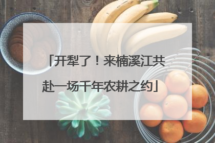 开犁了！来楠溪江共赴一场千年农耕之约