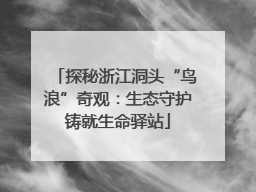 探秘浙江洞头“鸟浪”奇观：生态守护铸就生命驿站