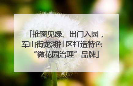 推窗见绿、出门入园，军山街龙湖社区打造特色“微花园治理”品牌