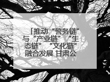 推动“警务链”与“产业链”“生态链”“文化链”融合发展 甘肃公安打造陇原旅游警务品牌