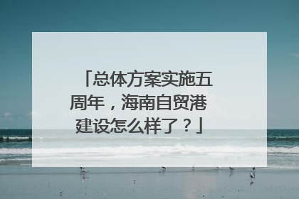 总体方案实施五周年，海南自贸港建设怎么样了？