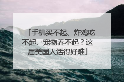 手机买不起、炸鸡吃不起、宠物养不起？这届美国人活得好难