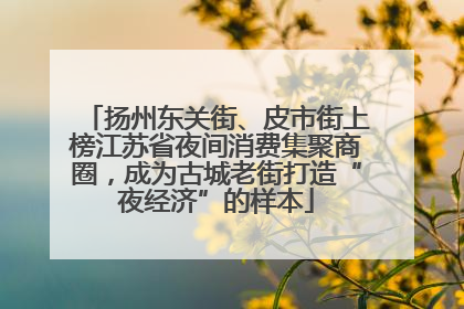 扬州东关街、皮市街上榜江苏省夜间消费集聚商圈，成为古城老街打造“夜经济”的样本