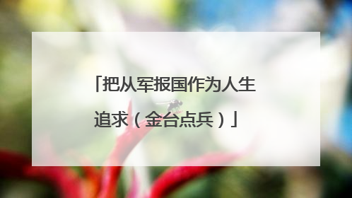 把从军报国作为人生追求（金台点兵）