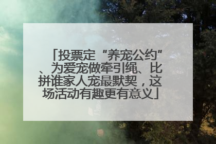 投票定“养宠公约”、为爱宠做牵引绳、比拼谁家人宠最默契，这场活动有趣更有意义