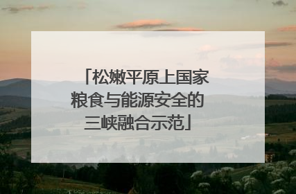 松嫩平原上国家粮食与能源安全的三峡融合示范