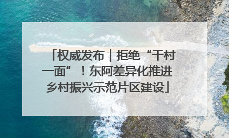 权威发布｜拒绝“千村一面”！东阿差异化推进乡村振兴示范片区建设