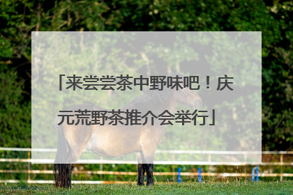 来尝尝茶中野味吧！庆元荒野茶推介会举行