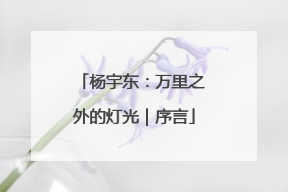 杨宇东：万里之外的灯光｜序言