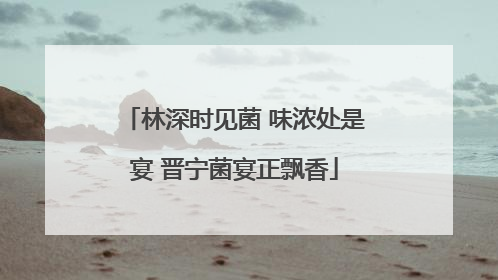 林深时见菌 味浓处是宴 晋宁菌宴正飘香