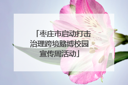 枣庄市启动打击治理跨境赌博校园宣传周活动