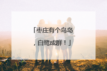 枣庄有个鸟岛，白鹭成群！