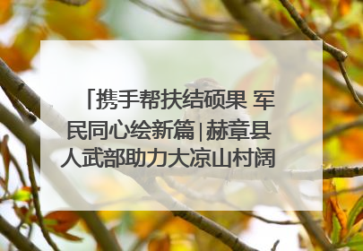 携手帮扶结硕果 军民同心绘新篇∣赫章县人武部助力大凉山村阔步乡村振兴路