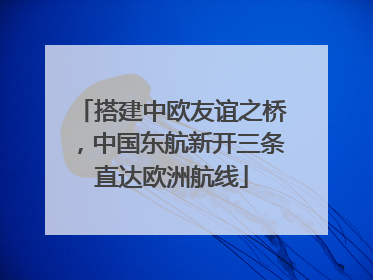 搭建中欧友谊之桥，中国东航新开三条直达欧洲航线