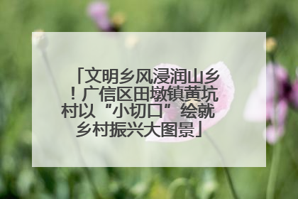文明乡风浸润山乡！广信区田墩镇黄坑村以“小切口”绘就乡村振兴大图景