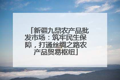 新疆九鼎农产品批发市场：筑牢民生保障，打通丝绸之路农产品贸易枢纽