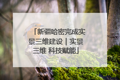 新疆哈密完成实景三维建设｜实景三维 科技赋能