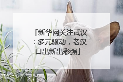 新华网关注武汉：多元驱动，老汉口出新出彩强